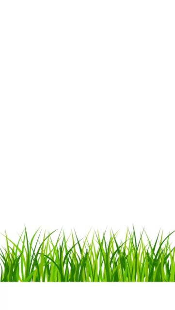 🌿ichinomiya畑プロジェクト🌿
🌈✨イベントのご案内✨🌈

＼＼初めての緑肥栽培／／
【DAY1】12月12日(金)
◉草が肥料の代わりになる？！
　目からウロコの緑肥栽培理論
参加費:1000円/大人1人※お子さま無料！
お弁当注文の方、別途代金1,300円要
@slowlifecafe.kinomi 
注文なしの方は、昼食持参必要

【DAY2】12月13日(土)
◉私だけのミニ畑ワークショップ
参加費:1,000円/大人1人※お子さま無料！
材料費:1,000円/持ち帰り1キット
おむすびと豚汁　お子さま分300円/1人

緑肥栽培は低コストでできる！

しかも、美味しい🤤

いろんな農法があっていい♡

そのひとつに、【緑肥栽培】を知ってほしい！

緑肥栽培はじめての方も，そうでない方も
野菜作りをしている方も、そうでない方も
子どもと一緒に土を触りたい、
食育の一環で野菜を育てたみたい、
緑肥栽培の野菜やお米食べてみたい、

💖どんな方でもウェルカムです！！！💖

食材や日用品だけでなく、
農業資材も高騰している昨今。
気候変動による被害も増えています。

農薬や化学肥料を必要とせず、
低コストでてきる栽培方法があるとしたら？
今までのやり方も大切にしながら、
『緑肥栽培』という農法を１つの選択肢として。

地球にも、人にも、そしてお財布にも❤️
やさしい育て方を、一緒に学びませんか？☺︎

お申し込みは、
プロフィールリンクの申し込みフォームから！フォーム内に詳細も記載しています☺
お問い合わせもお気軽にどうぞ✨

#NPO法人めぐりる
#めぐりる　#笑顔がめぐる未来
#プラネタリーヘルス
#循環 #命の循環
#緑肥　#緑肥栽培
#地球にやさしい

#楽しいが1番
#心が喜ぶことを
#試食　#豚汁　#おむすび