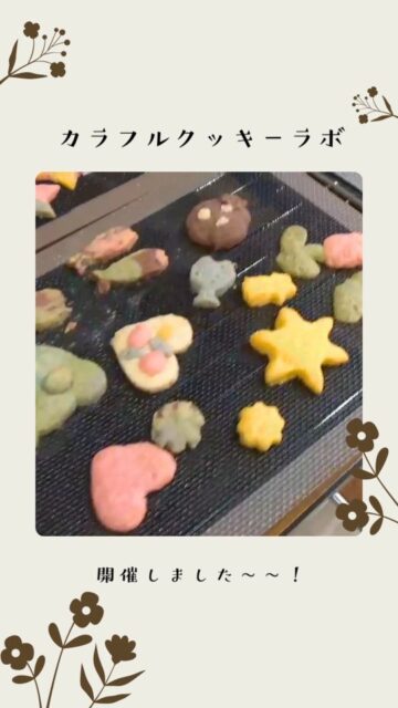 「正解がないって、たのしい！」

1月14日、札幌のフリースクール「いきばしょ」さん（NPO法人nicon運営）にて カラフルクッキーラボを開催しました🎨🍪

色とりどりの生地にワクワクしながら、 実は色と栄養のこともちょっぴりお勉強。 おいしい香りに包まれて、五感で楽しむ食育の時間になりました✨

これからはじまる【できた！スクール】の体験ワークショップ。 札幌で、たくさんの「できた！」に出会えるのが今から楽しみです。

#札幌ワークショップ #クッキーラボ #食育 
#できたスクール #NPO法人めぐりる